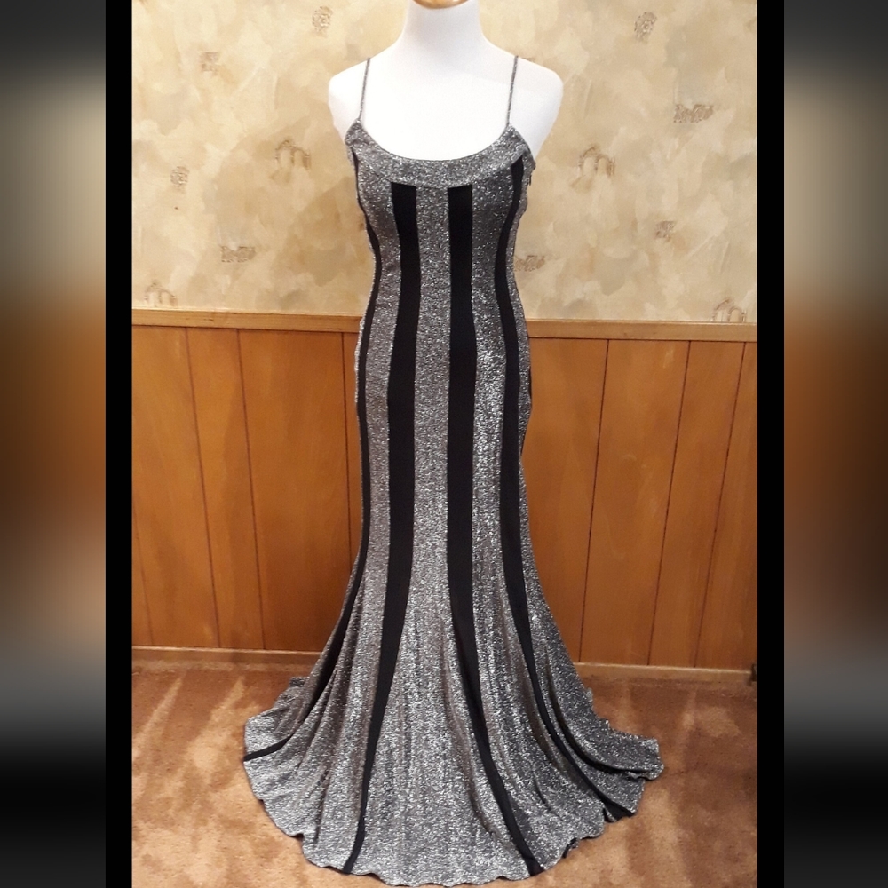 Beautiful Mermaid Silver & Black Dress
